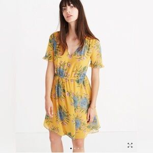 Madewell Sweetgrass Ruffle-Sleeve Dress in Painted Blooms size 2